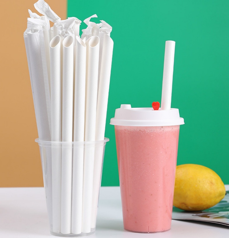 10mm 12mm Jumbo Paper Straws Biodegradable for Smoothies Boba Tea