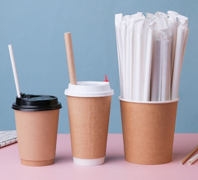 10mm 12mm Biodegradable Paper Straws for Boba Tea – Certified Compostable, Perfect for Smoothies & Milk Tea, Pack of 50