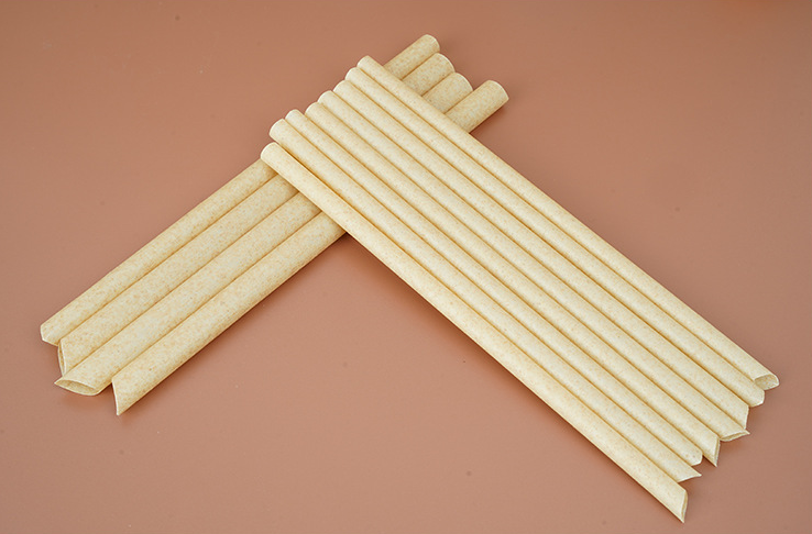Wholesale Compostable Sugarcane Bagasse Straws for Boba Bubble Tea